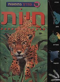 חיות