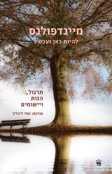 מיינדפולנס 3