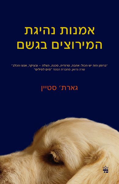 אמנות נהיגת המרוצים בגשם 3