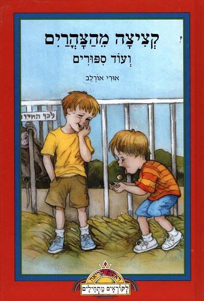 קציצה מהצהריים 3
