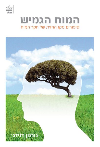 המוח הגמיש 3